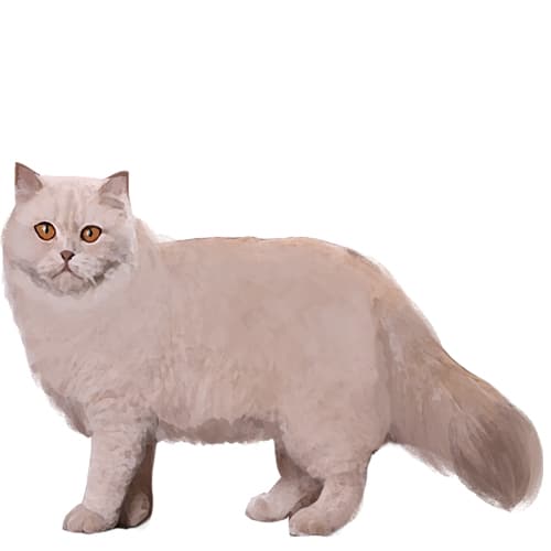 302