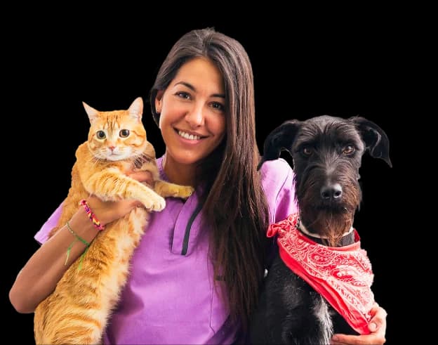 Orivet-person with cat and dog